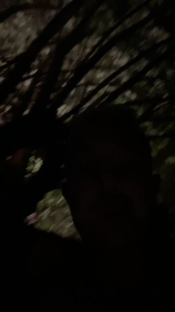 Cagedwarrior